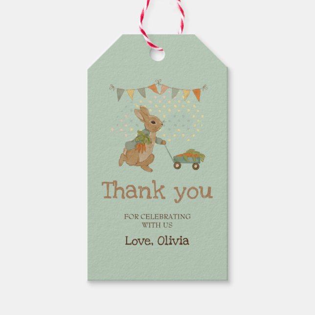 Rabbit Peter Danke Tag Geschenkanhänger (Vorderseite)