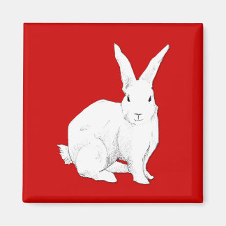 Rabbit Red Magnet