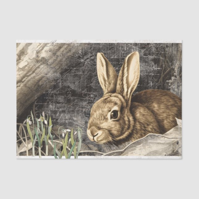 Rabbit Snowdrop Blume Frühjahr Französisch Drehkre Seidenpapier (Vorderseite)