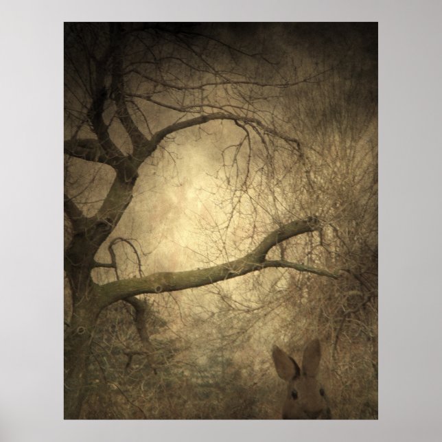 Rabbit Woods Poster (Vorne)