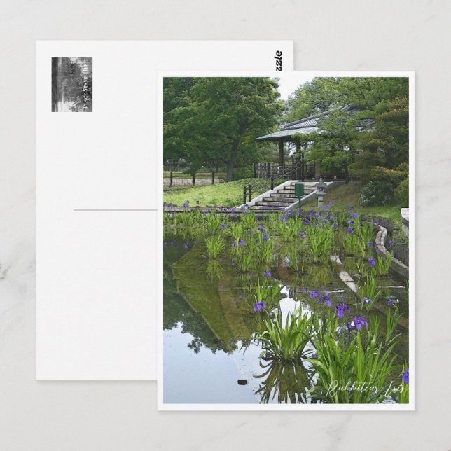 Rabbitear Iris Postkarte (Vorne/Hinten)