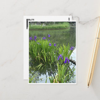 Rabbitear Iris Postkarte