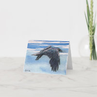 Rabe Corvid Krähen-ursprüngliche