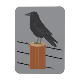 Rabe Magnet