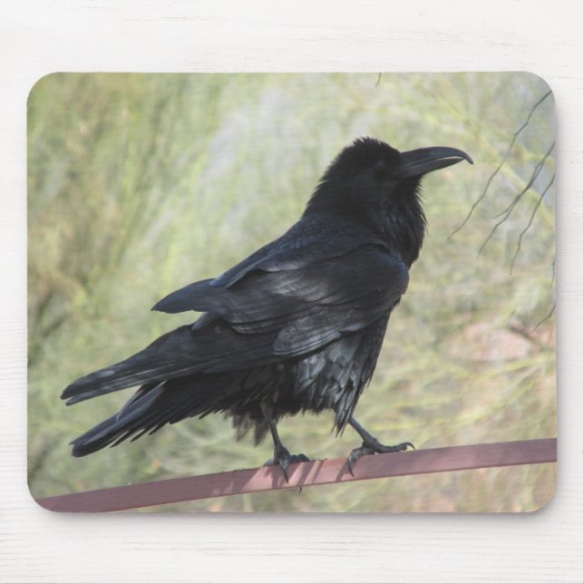 Rabe Mousepad (Vorne)
