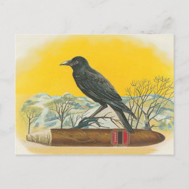 Rabe Postkarte (Vorderseite)