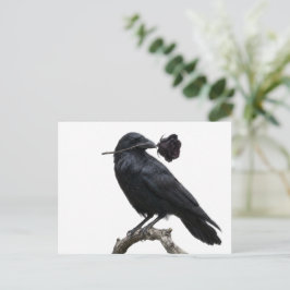 Rabe Postkarte