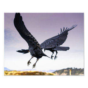 Raben des Fluges im Fotodruck zusammen