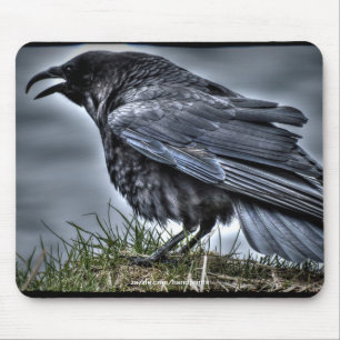 Raben-Krähen-Wildtier-Vogel-Rabenliebhaber Mousepad