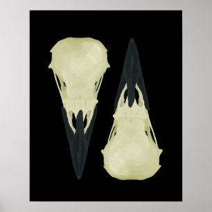 Raben-Schädel Poster