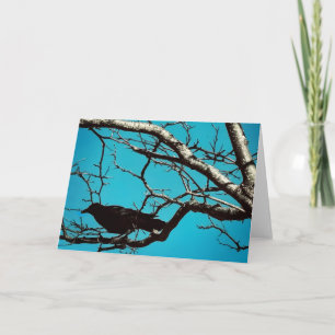 Rabenkrähe Schwarzer Vogel Silberbaum Blauer Himme Karte