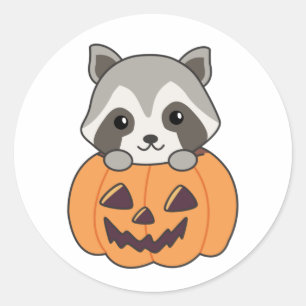 Raccin Pumpkin Sweet Raccoon Happy Halloween Runder Aufkleber