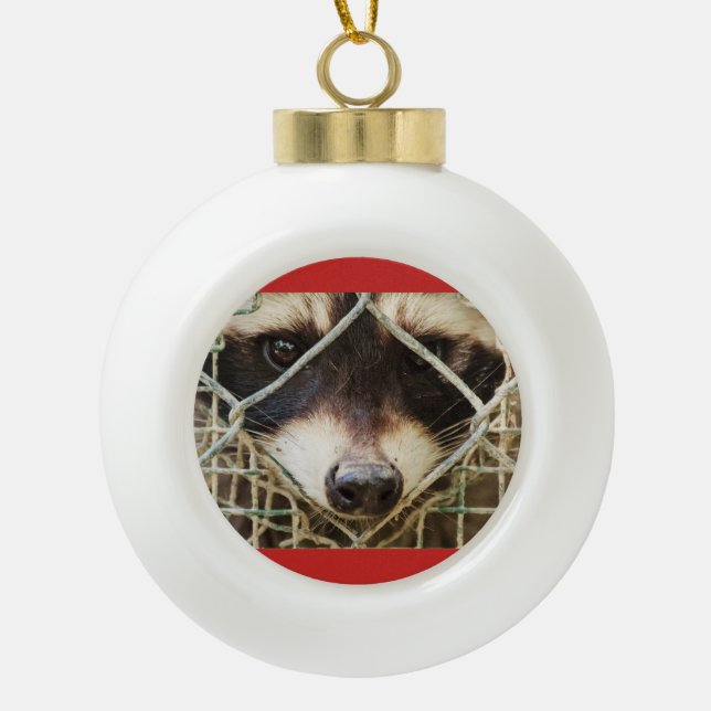 Raccon auf Keramik Ball Ornament (Vorderseite)