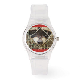 RACCON CUSTOM STAINLESS LEDER WATTER ARMBANDUHR