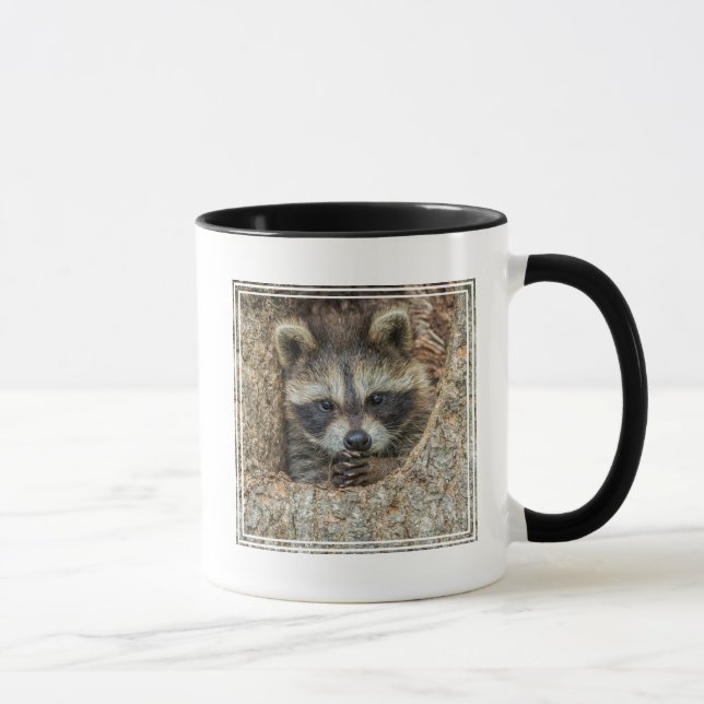Raccon Nestled Inside a Tremollow Tasse (Rechts)