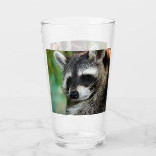 Raccoon 001 glas