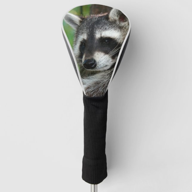 Raccoon 001 golf headcover (Vorderseite)