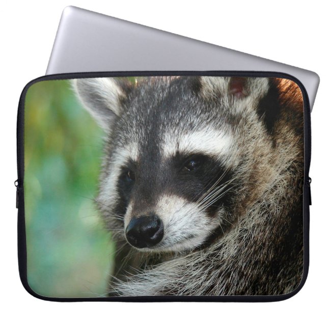 Raccoon 001 laptopschutzhülle (Vorderseite)
