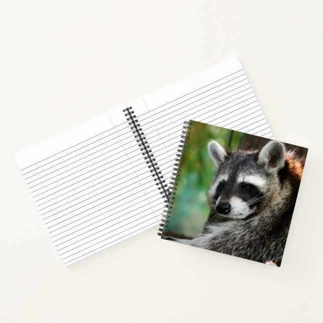 Raccoon 001 notizbuch (Innenseite)