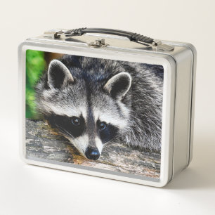 Raccoon 003 metall brotdose