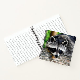 Raccoon 003 notizbuch