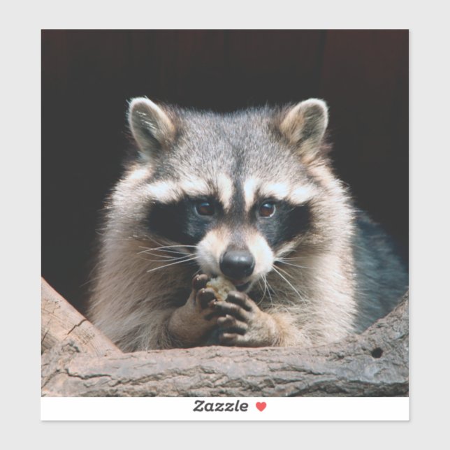 Raccoon 004 aufkleber (Blatt)