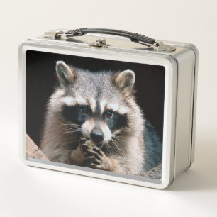 Raccoon 004 metall brotdose