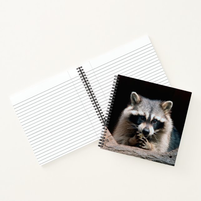 Raccoon 004 notizbuch (Innenseite)