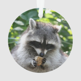 Raccoon 004 ornament