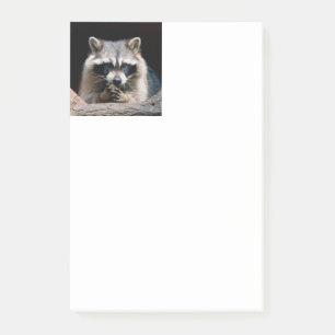 Raccoon 004 post-it klebezettel