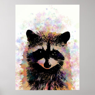 Raccoon 27 poster