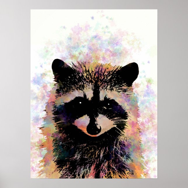 Raccoon 27 poster (Vorne)