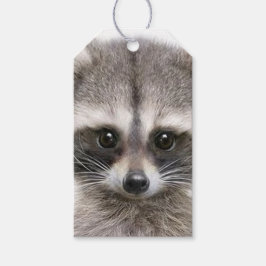 Raccoon-Abbildung auf dem Gift-Tag Geschenkanhänger
