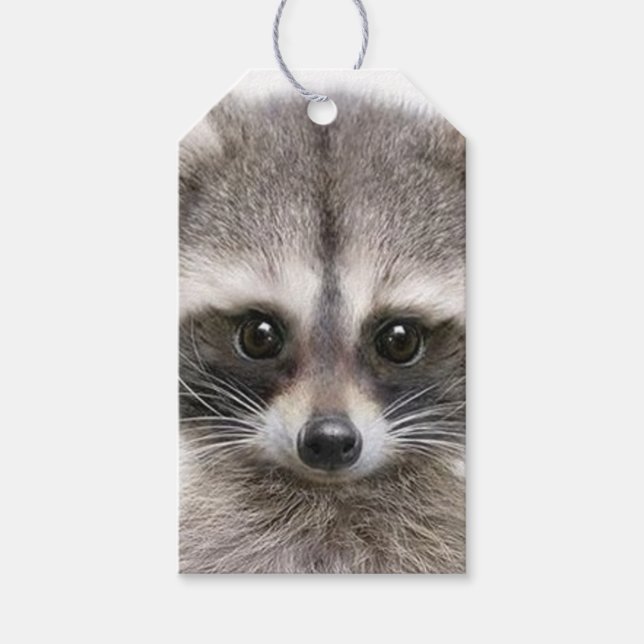 Raccoon-Abbildung auf dem Gift-Tag Geschenkanhänger (Vorderseite)