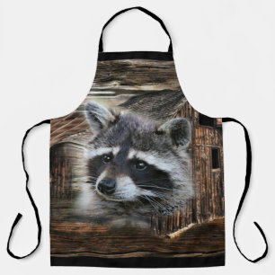 Raccoon an der alten Schürze