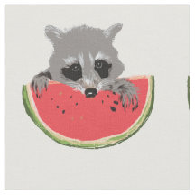 Raccoon aß Wassermelone