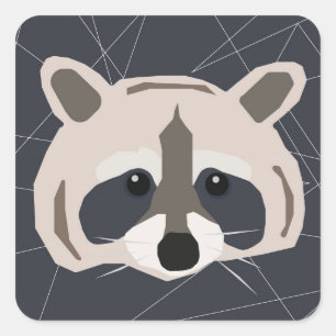 Raccoon Aufkleber