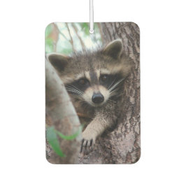 Raccoon Autolufterfrischer