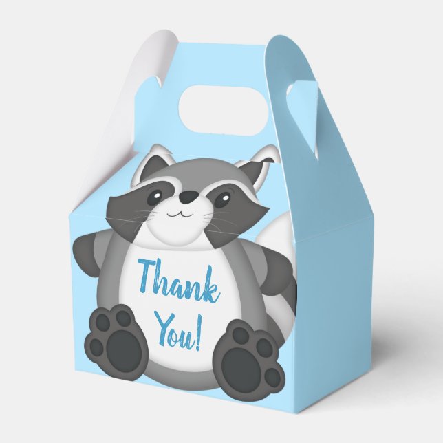 Raccoon Baby Dusche Blue Geschenkschachtel (Vorderseite)