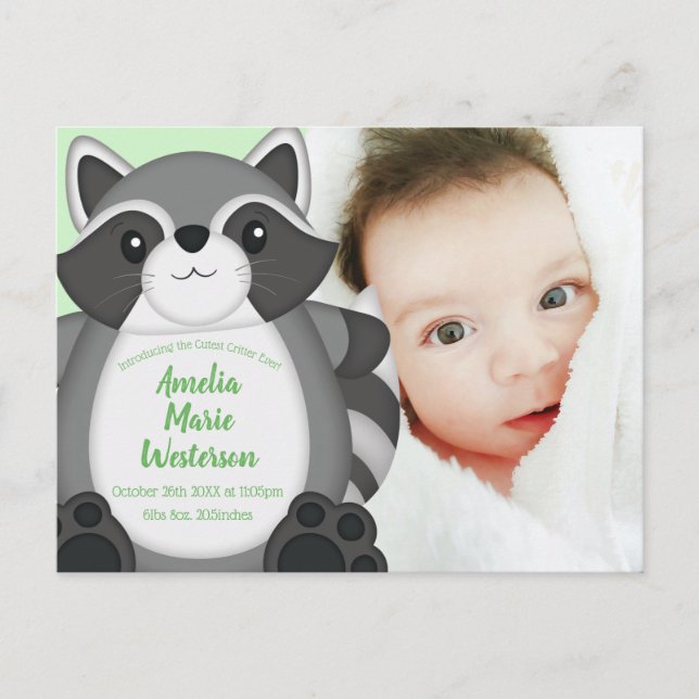 Raccoon Baby Showwoodland Postkarte (Vorderseite)