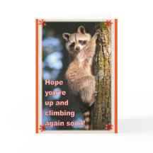 Raccoon bekommt eine gute Karte.