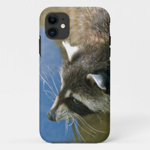 Raccoon Case-Mate iPhone Hülle