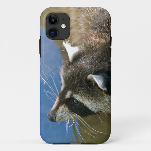Raccoon Case-Mate iPhone Hülle (Rückseite)