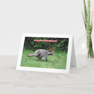 Raccoon Christmas Feiertagskarte