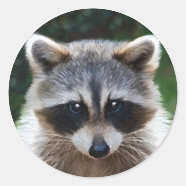 Raccoon Coon Wild Animals Wildlife Stickers (Vorderseite)