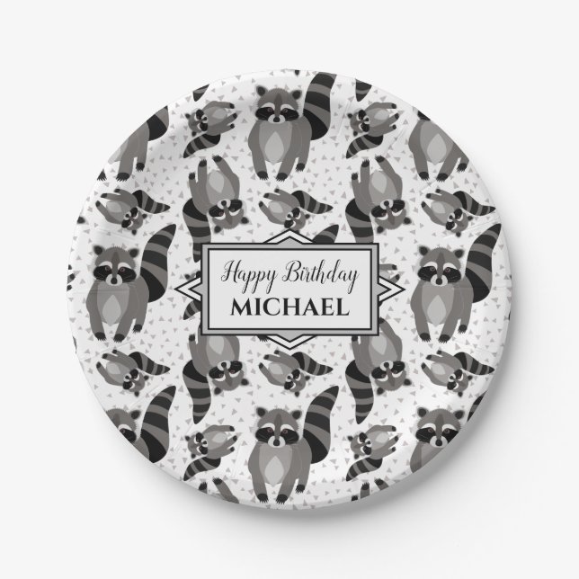 Raccoon Custom Birthday Party Pappteller (Vorderseite)