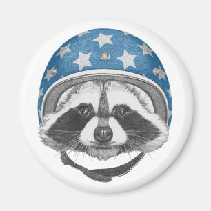Raccoon Daredeb Magnet