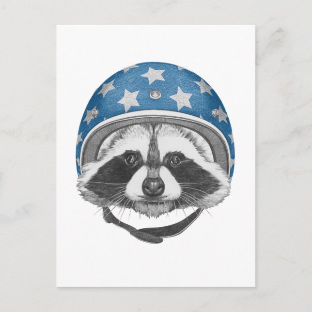 Raccoon Daredevil Postkarte (Vorderseite)