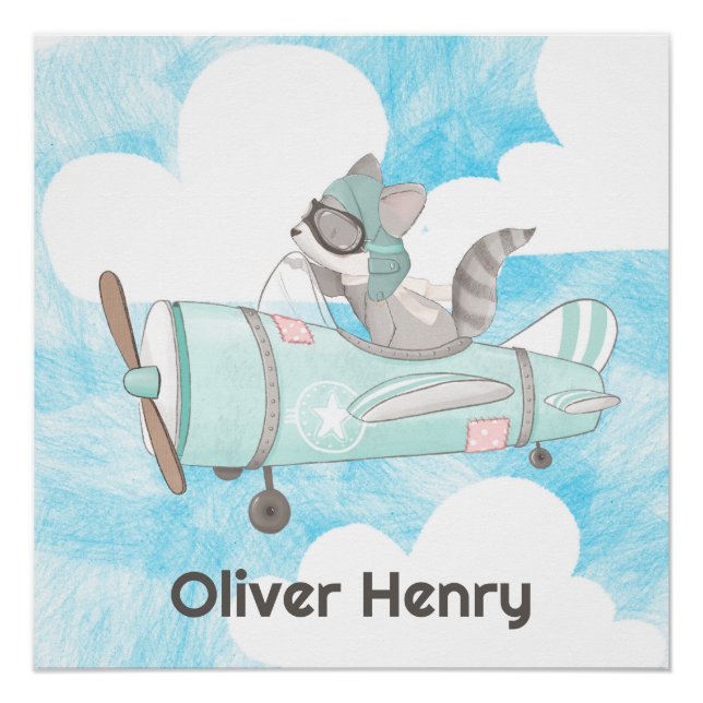 Raccoon des Flugzeugführers Poster (Vorderseite)