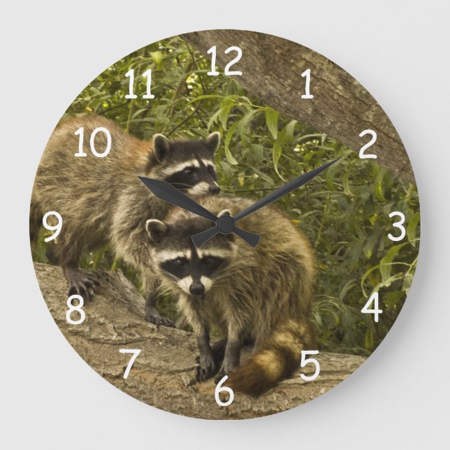 Raccoon-Familie Große Wanduhr (Vorderseite)